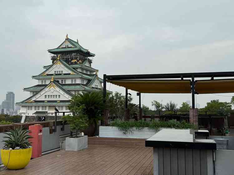 思っていたよりも、大阪城がとても近く感じ、広々としていてゆっくり過ごせる感じがあり、とても良かった。