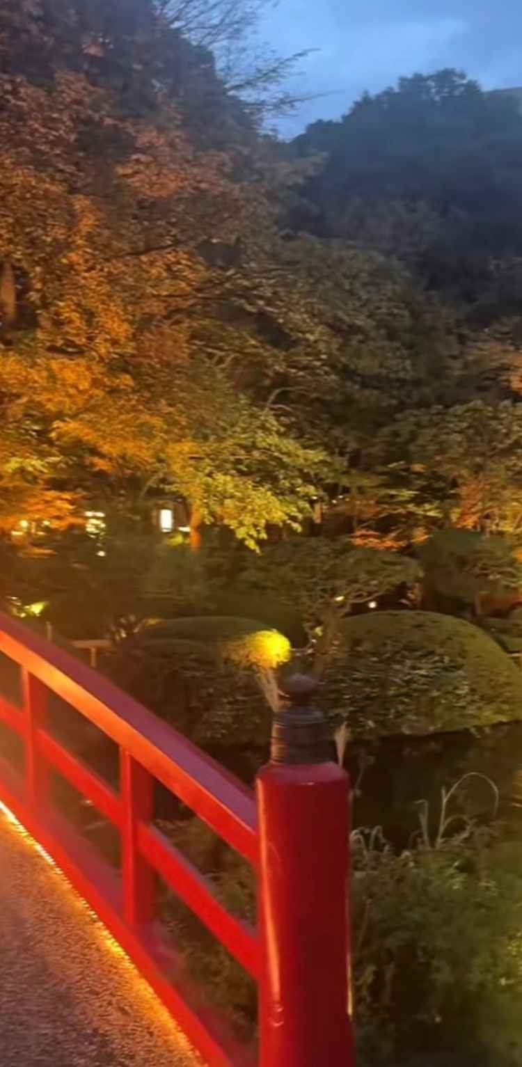 太鼓橋からの日本庭園