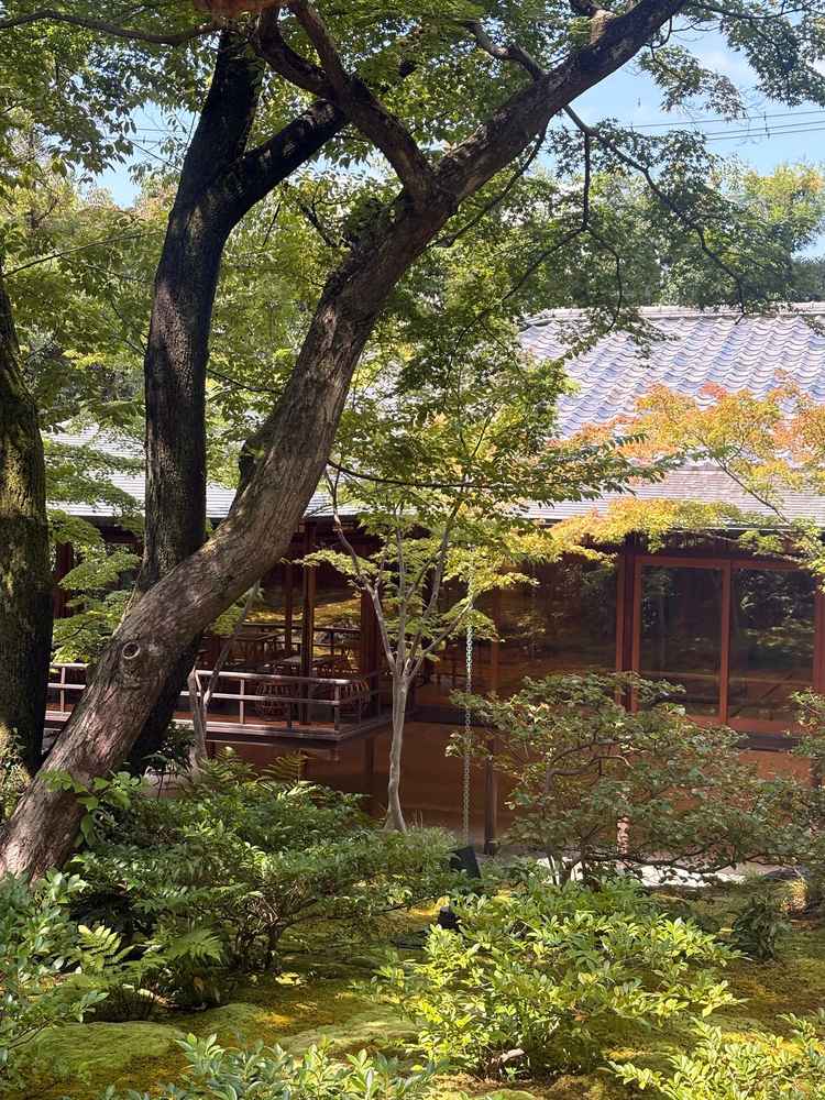 緑がとても綺麗な庭園でした