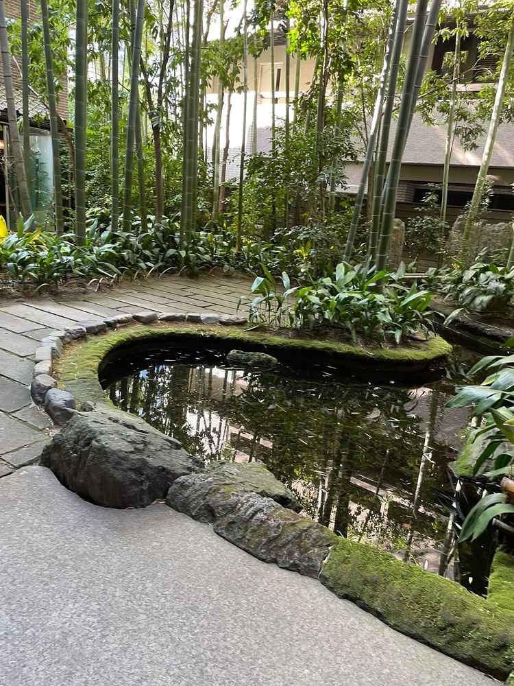 建物内部からしか見えない中庭。竹は嵐山の職人さんが手入れをされているとのこと。