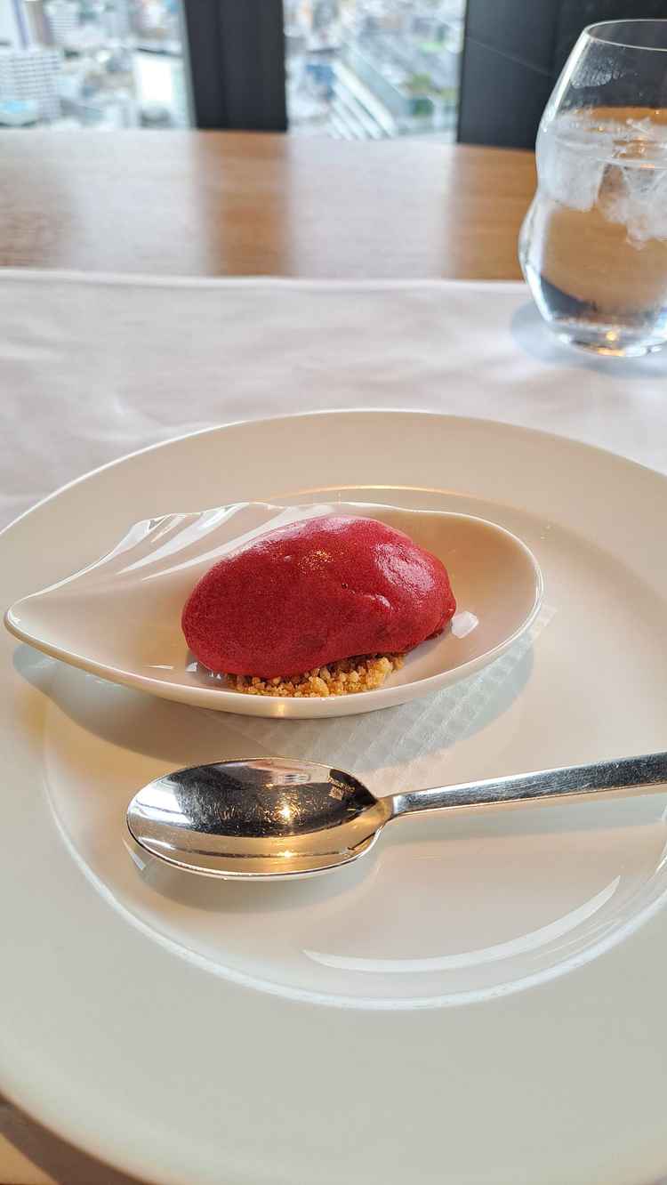 デザートはソルベ。メインのお肉を食べた後に口の中を爽やかにしてくれました。