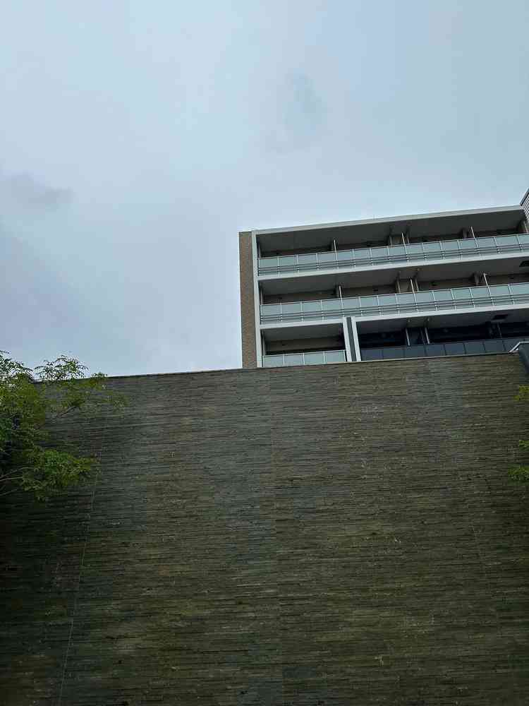 ユーザーが投稿した画像4