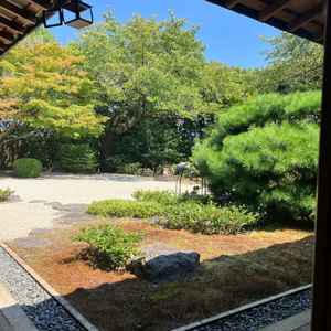 フリアンさんを代表する庭園。落ち着いた雰囲気で日当たりも良く、居心地が良い。