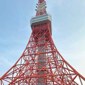 少し離れてるのかなと思っていましたが東京タワーの真横でしっかり見えて圧巻！