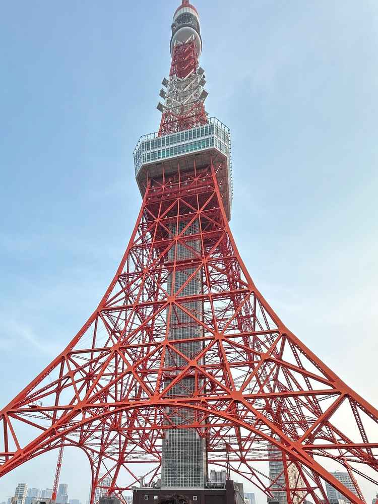 少し離れてるのかなと思っていましたが東京タワーの真横でしっかり見えて圧巻！