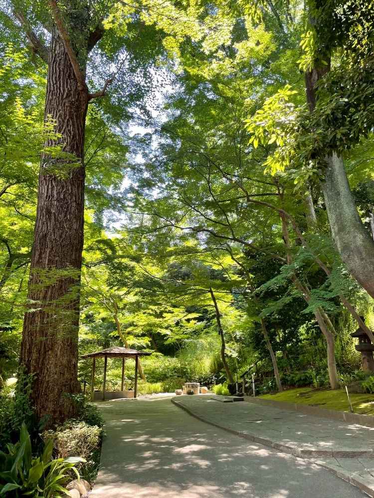 チャペルまで歩くガーデン