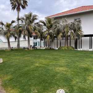 海だけではなく緑もたくさんあり、沖縄のような感じがしました。