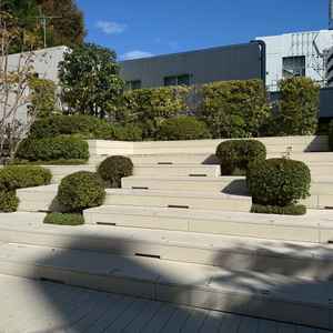 階段状になっているテラスでは集合写真が撮れる。