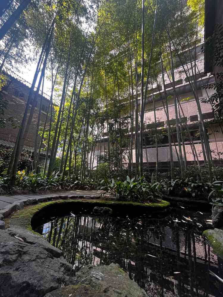 竹林のある中庭