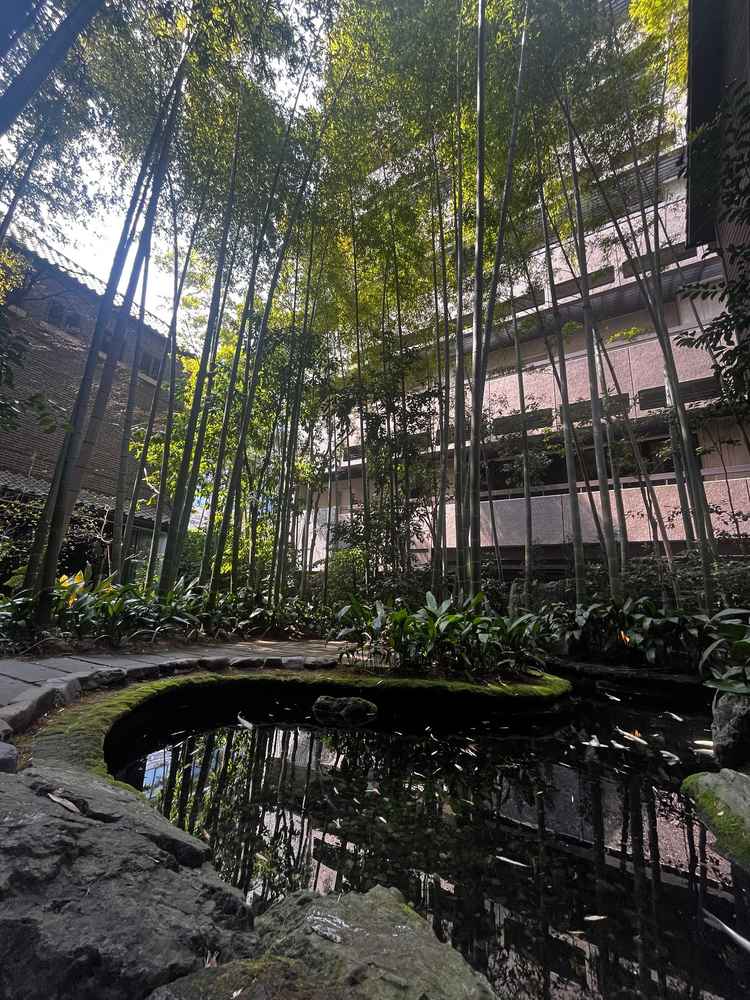 竹林のある中庭