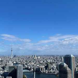 テラスからの景色