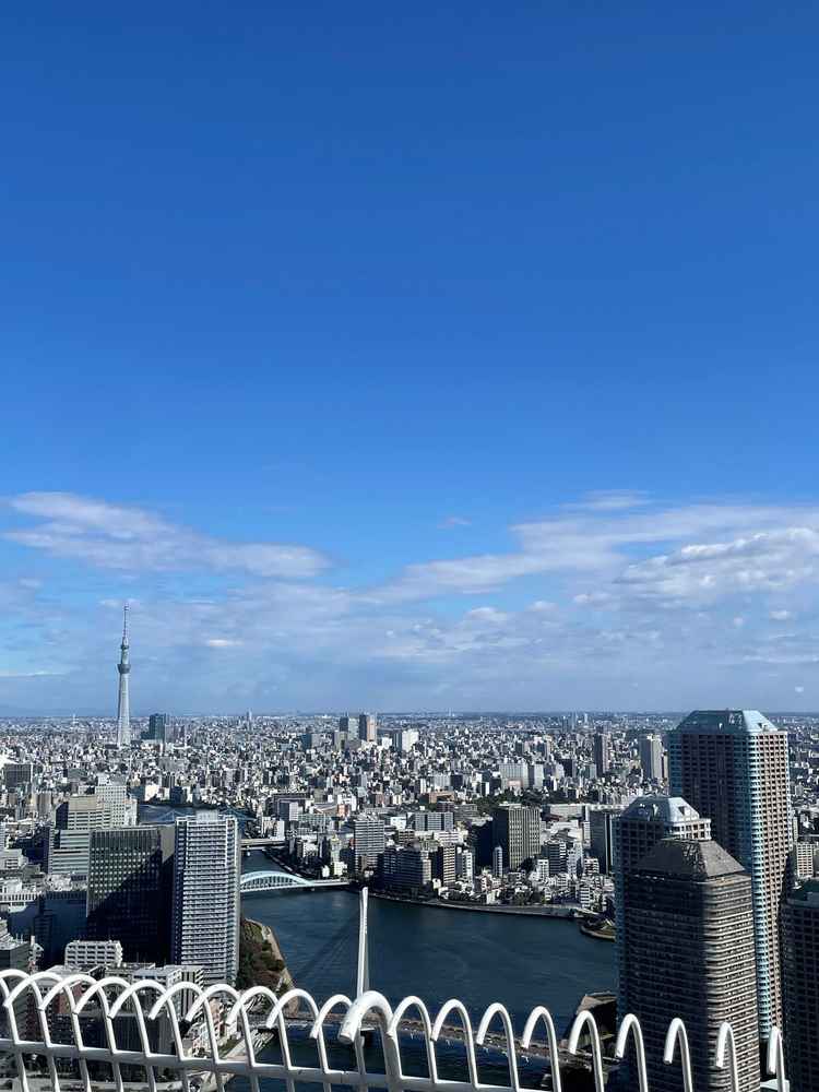 テラスからの景色