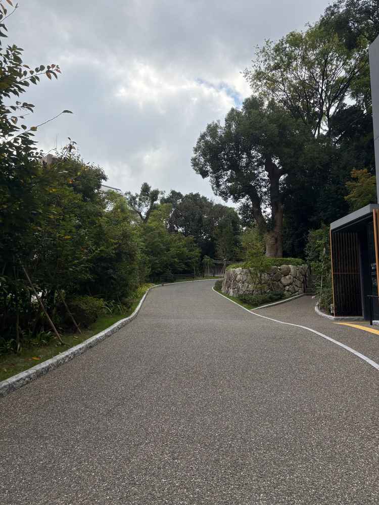 門から入ってすぐに広がる日本庭園。専任の庭師が管理しているとのこと。