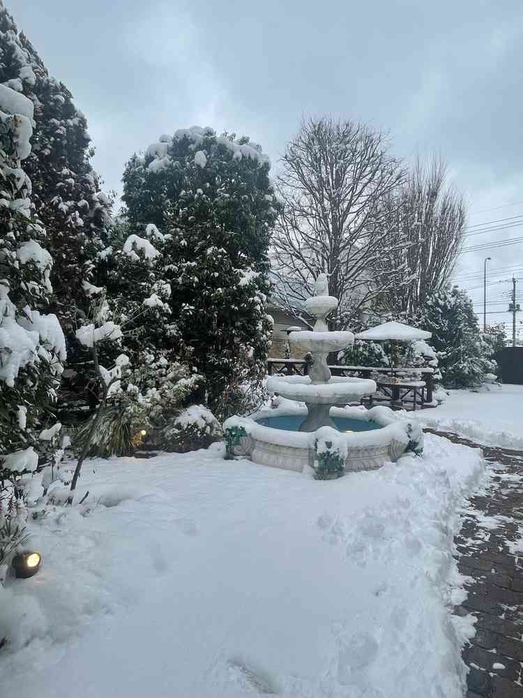 外観、たまたま雪が降った日だったからいつもと少し違うのかもしれないけど良い雰囲気だった