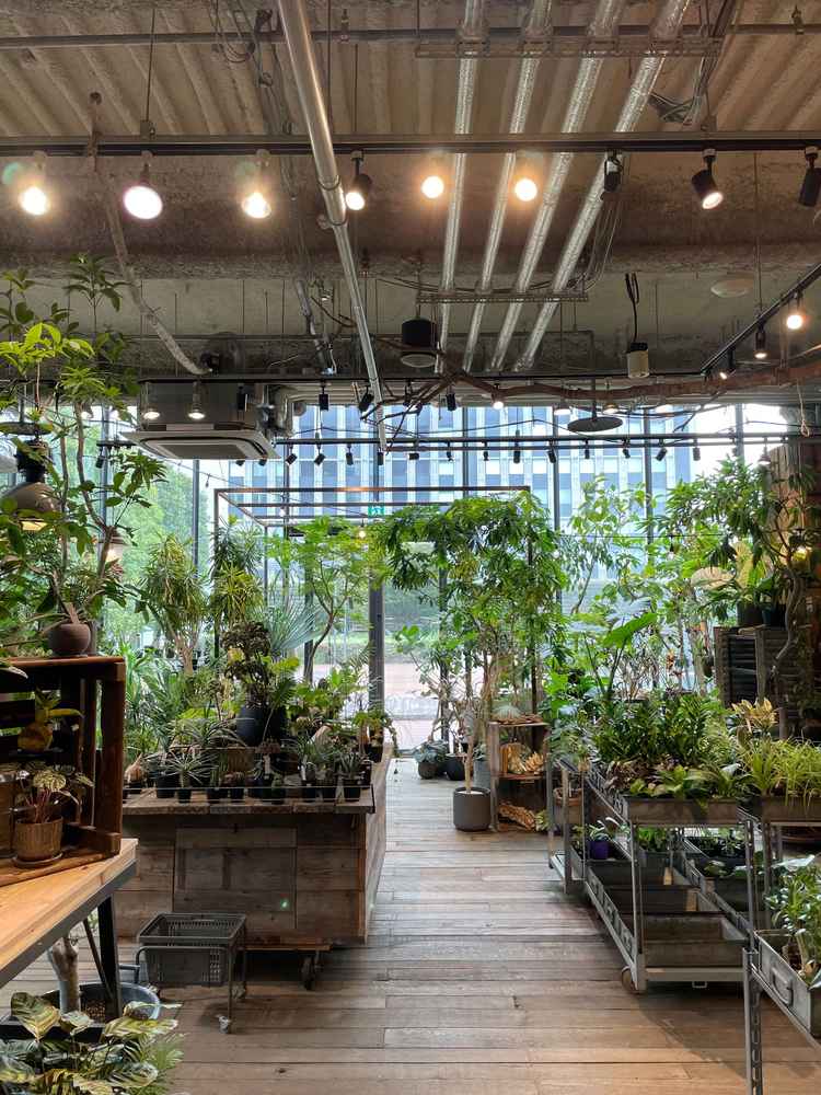 実際にボタニカル挙式を行うガレージショップ