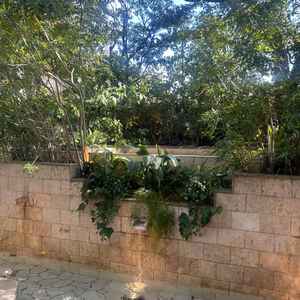 披露宴会場横にある中庭です。都会の式場とは思えない雰囲気が◎