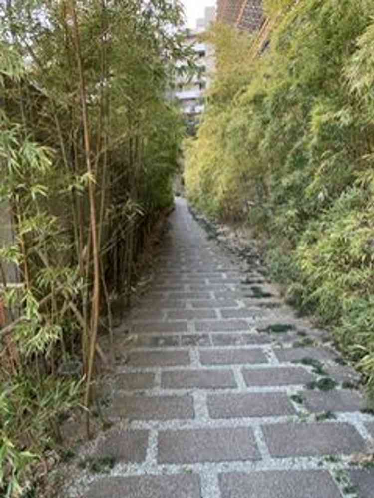 ユーザーが投稿した画像1