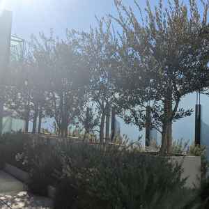 ユーザーが投稿した画像3