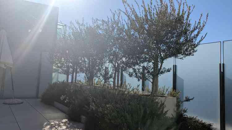 ユーザーが投稿した画像3