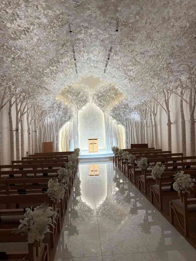 思っている以上に綺麗でした。ここが1番魅力的でした。