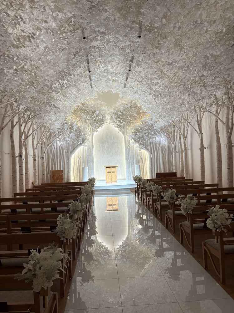 思っている以上に綺麗でした。ここが1番魅力的でした。