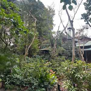 外観になります。緑たくさんで雰囲気とてもよかったです。