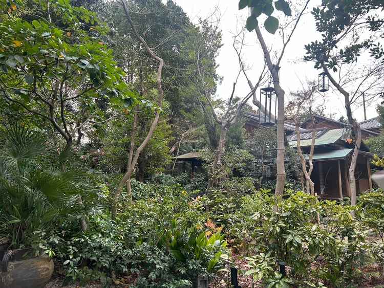 外観になります。緑たくさんで雰囲気とてもよかったです。