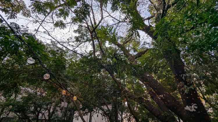 ユーザーが投稿した画像1