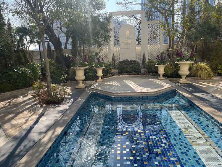 ニューヨーク邸の外にあるプール。庭のような雰囲気で外に出ても楽しいと感じた。