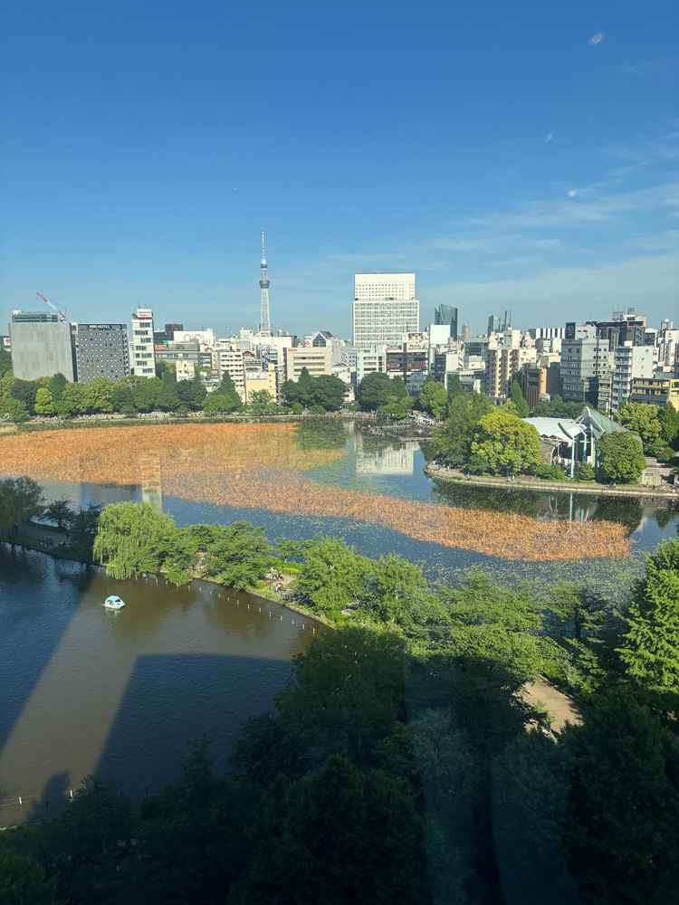 披露宴会場の窓辺から見た景色です。