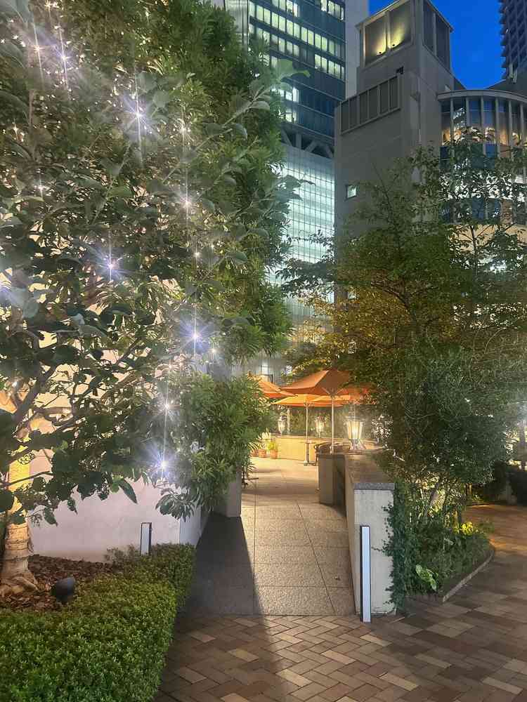 外からゲストが入る動線