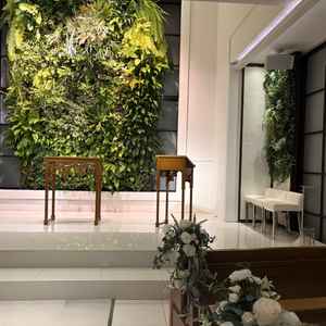 本物の木です。雨の日でもオッケー