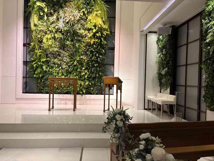 本物の木です。雨の日でもオッケー