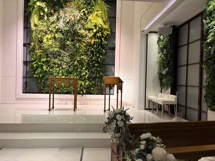 本物の木です。雨の日でもオッケー