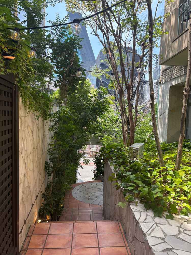 敷地の入口から建物までの通路。緑とランタンやイルミネーションが施され、とってもおしゃれでした。