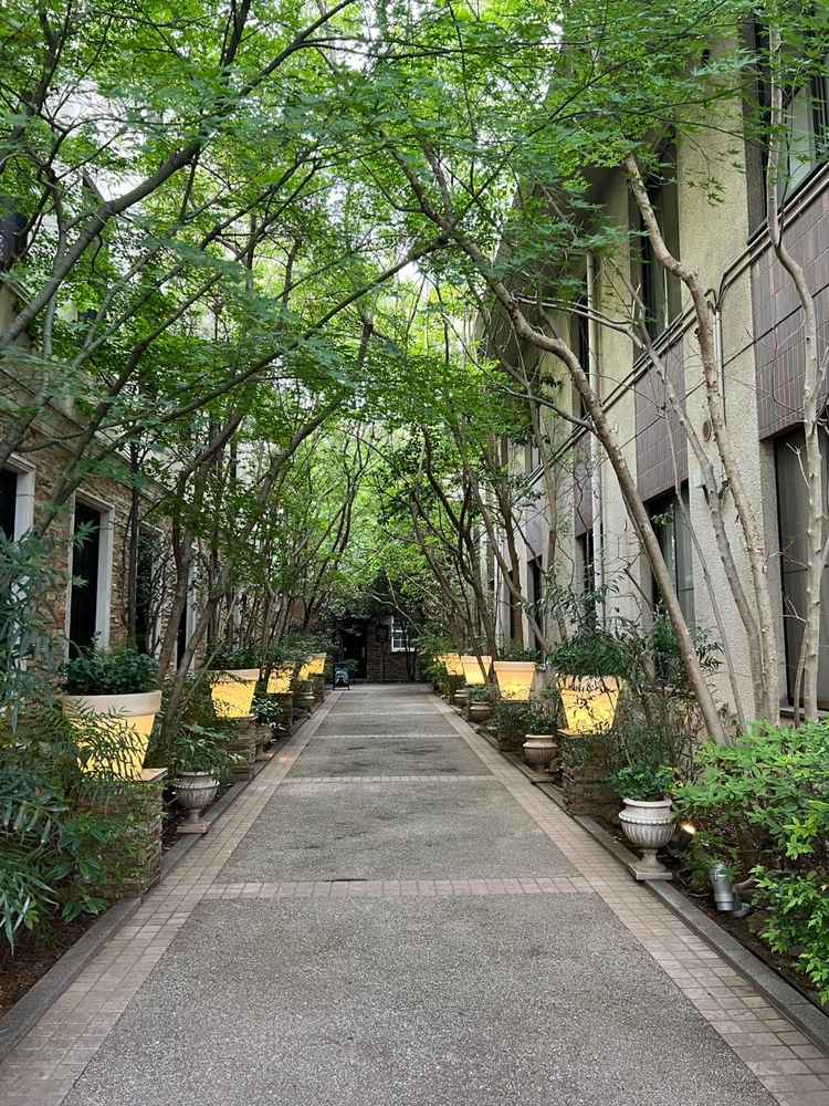 式場屋内以外の写真の撮影に緑のトンネルがとても映えそうな印象だった