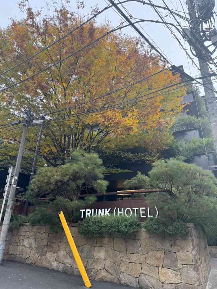 駅からはそれなりに歩く。木の特徴的な外観が目印。