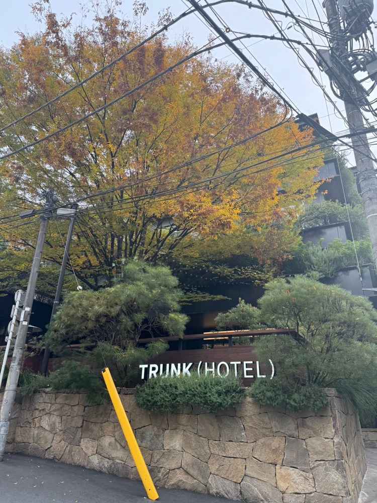 駅からはそれなりに歩く。木の特徴的な外観が目印。