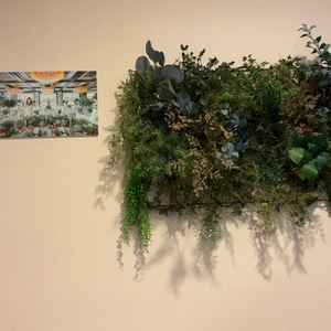 ユーザーが投稿した画像5