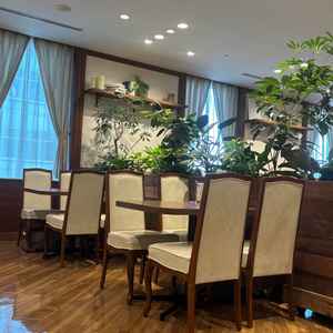 サロン席です。中央のグリーンは本物で、スタッフがお世話しているそうです。