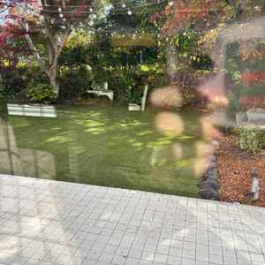 お庭もあり出られるそうです