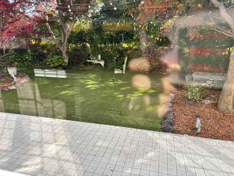 お庭もあり出られるそうです