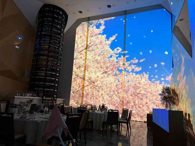 プロジェクションマッピングがとにかくきれい