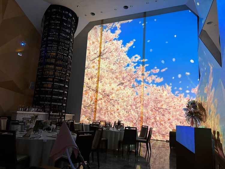 プロジェクションマッピングがとにかくきれい