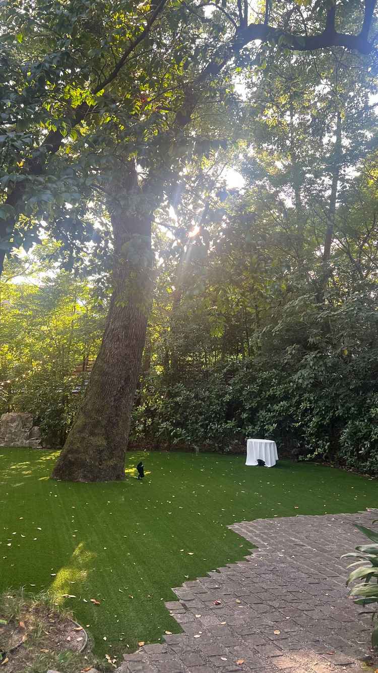 樹齢100年の木や緑の多いところで前撮りができるというのがすごく好みで魅力に感じました。