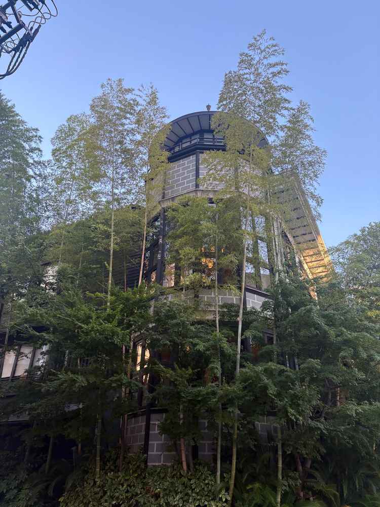 外からも楽しめる外観