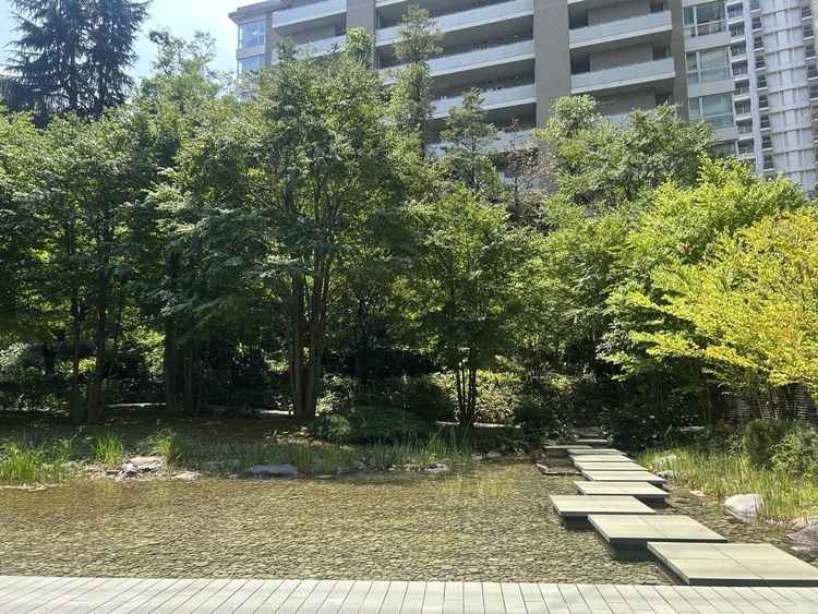 会場に備え付けの庭園。こちらを使うこともできるとのこと。都心にありながら自然を感じられる空間。
