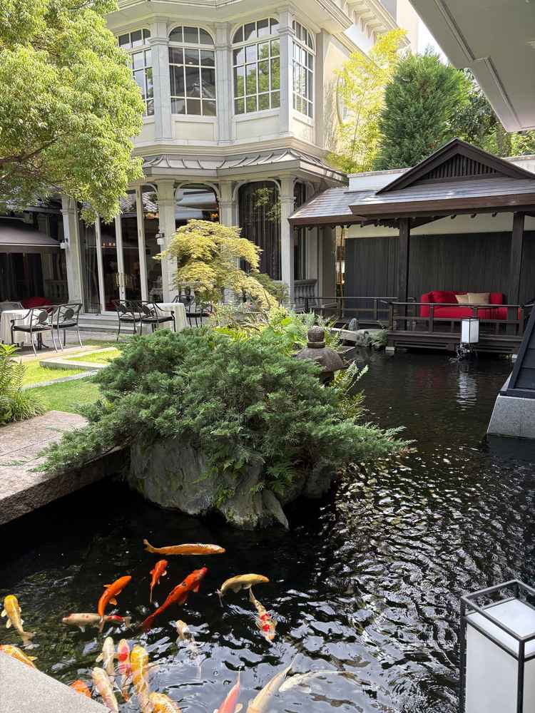 いくつかあるお庭のうち、鯉が泳いでいるお庭。