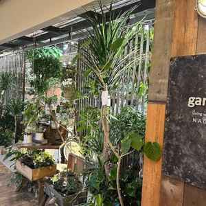 garageというお店と提携しているため、お花をお手頃価格に入荷できるそうです。