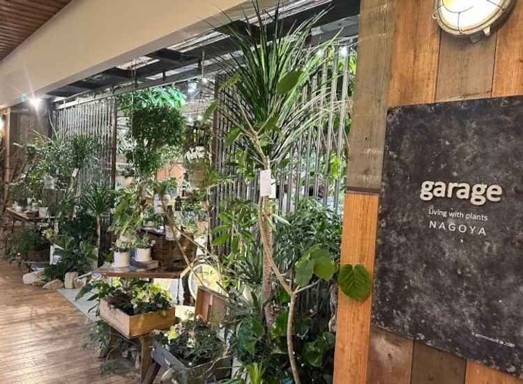 garageというお店と提携しているため、お花をお手頃価格に入荷できるそうです。